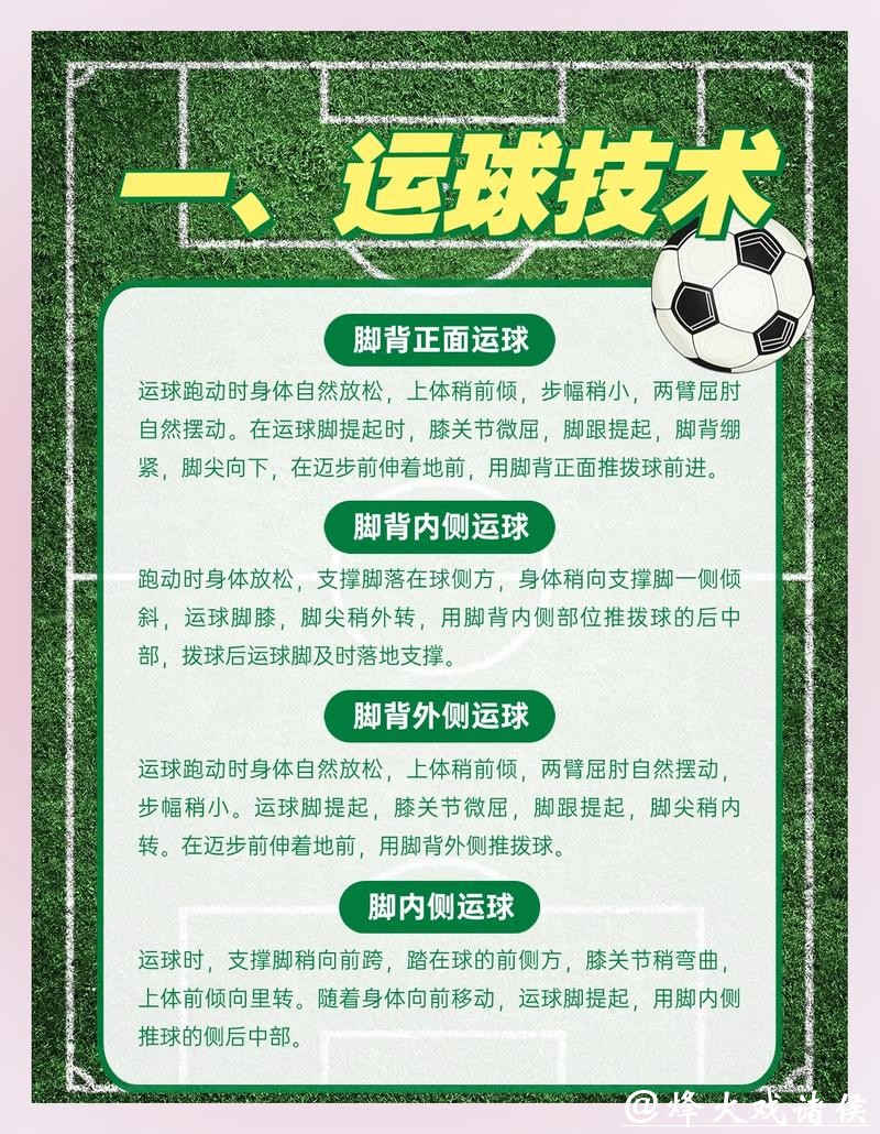 全面解读世界杯分析平台功能与优势