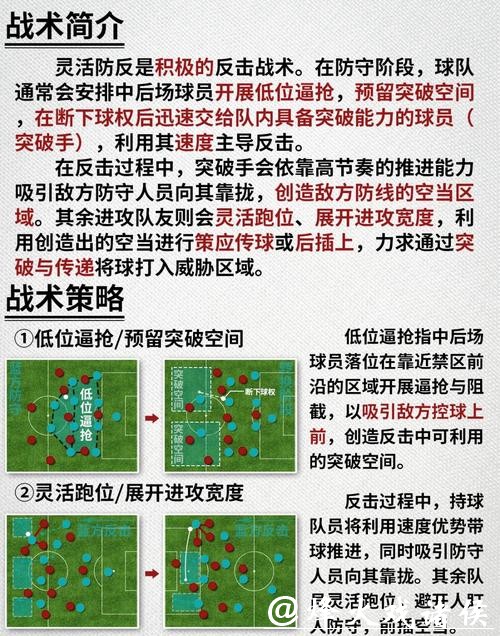 深入解析世界杯球队比赛策略与战术调整